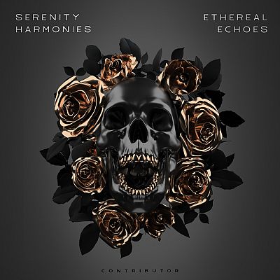 Pre Made Album Cover Tuatara