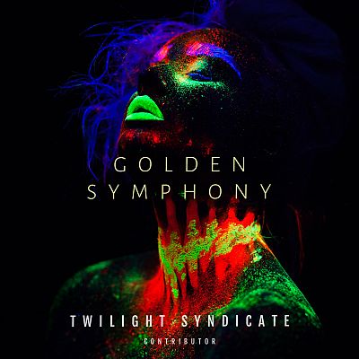 Pre Made Album Cover Bunker