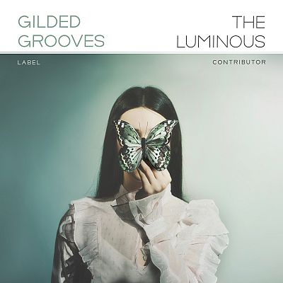 Pre Made Album Cover Pumice