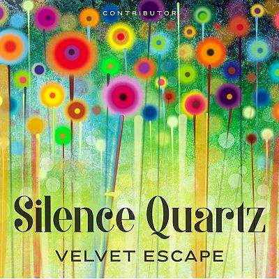 Pre Made Album Cover Wild Willow