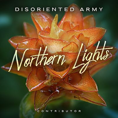 Pre Made Album Cover Green Kelp