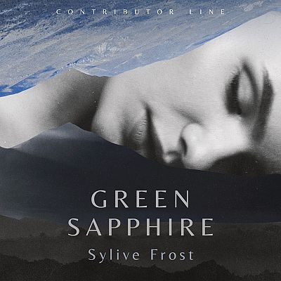 Pre Made Album Cover Shark