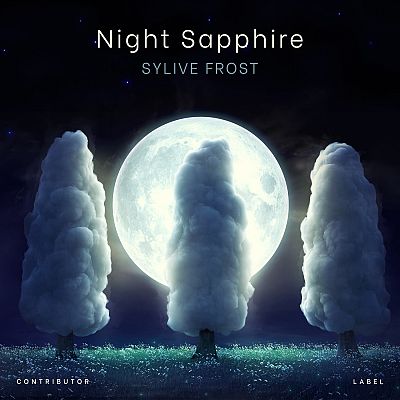 Pre Made Album Cover Ebony