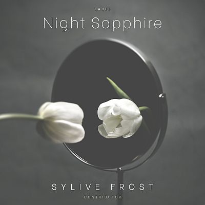 Pre Made Album Cover Nandor