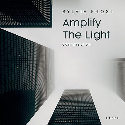 Pre Made Album Cover Gray Nickel