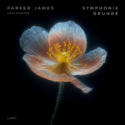 Pre Made Album Cover Sandal