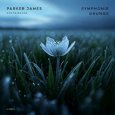 Pre Made Album Cover Gable Green