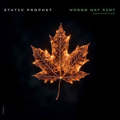 Pre Made Album Cover Cod Gray