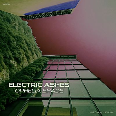 Pre Made Album Cover Pine Cone