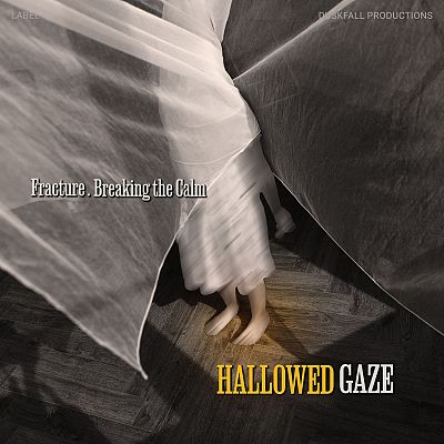 Pre Made Album Cover Merlin