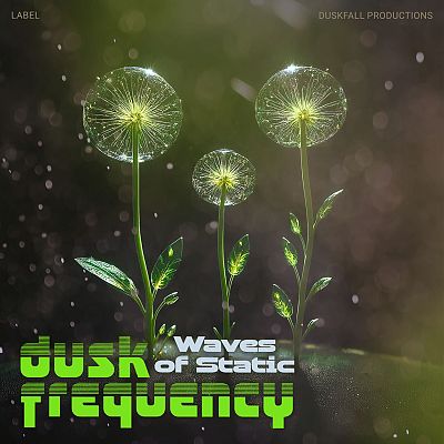 Pre Made Album Cover Kelp