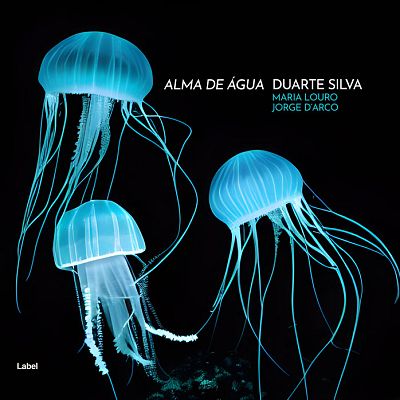 Pre Made Album Cover Bunker