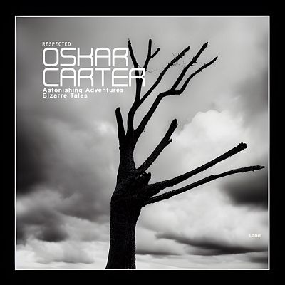 Pre Made Album Cover Gray Nickel