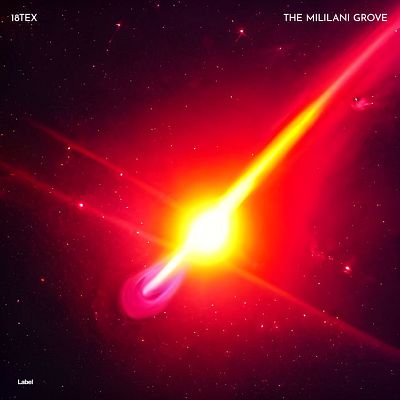 Pre Made Album Cover Pomegranate