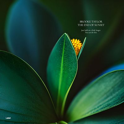 Pre Made Album Cover Celtic