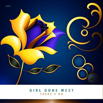 Pre Made Album Cover Ronchi