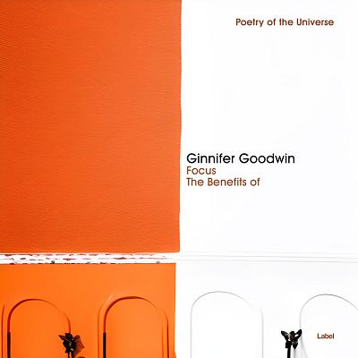 Pre Made Album Cover Flamingo