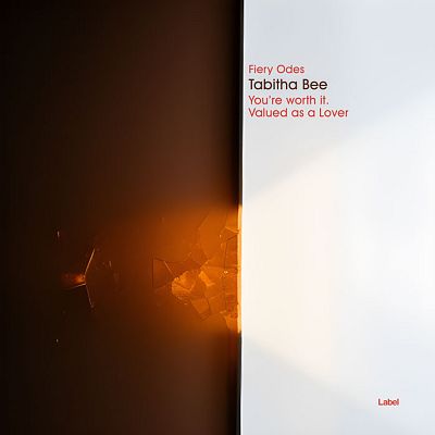 Pre Made Album Cover Clinker