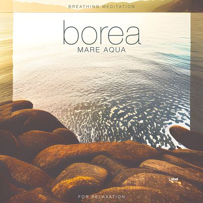 Pre Made Album Cover Pine Cone