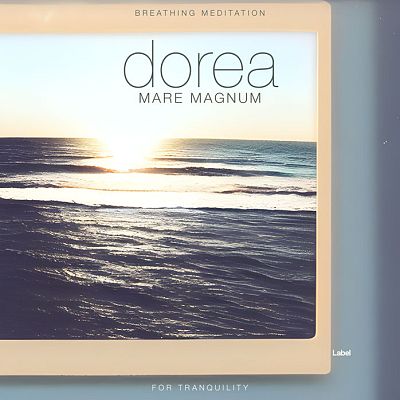 Pre Made Album Cover Pearl Bush