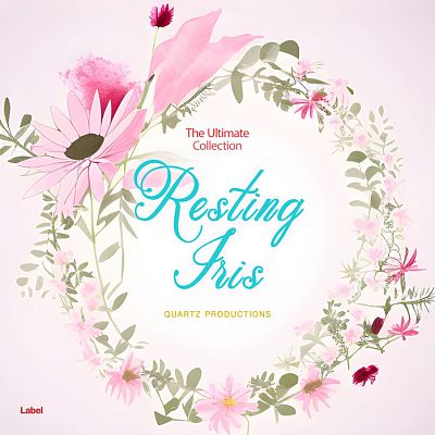 Pre Made Album Cover Dawn Pink