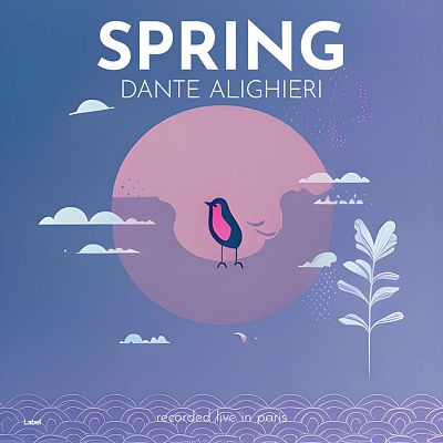 Pre Made Album Cover Waikawa Gray