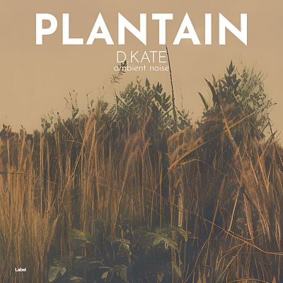 Pre Made Album Cover Tobacco Brown