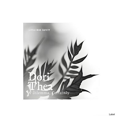 Pre Made Album Cover Gray Nickel