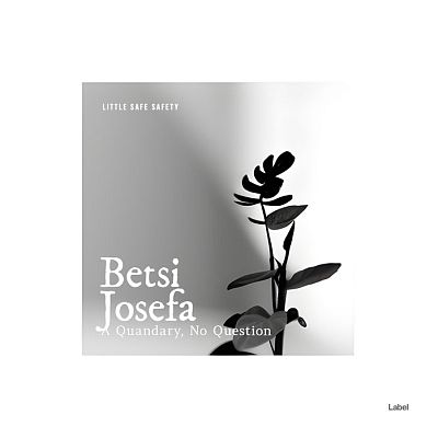 Pre Made Album Cover Nobel