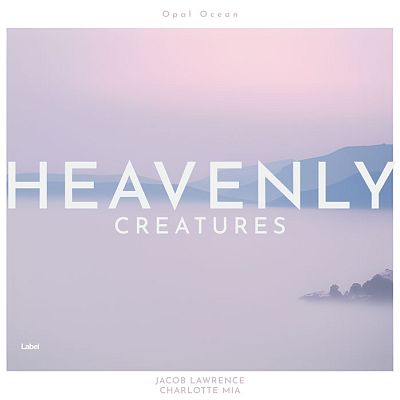 Pre Made Album Cover Gray Suit