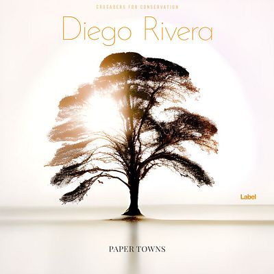 Pre Made Album Cover Dawn Pink