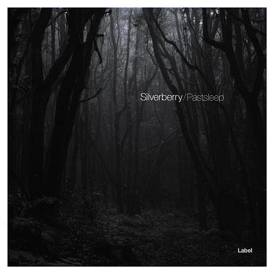 Pre Made Album Cover Woodsmoke