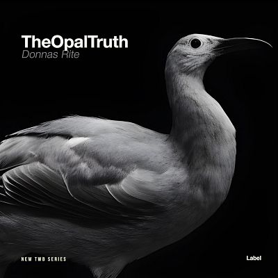 Pre Made Album Cover Gray Chateau