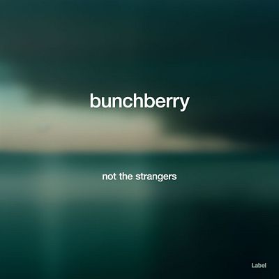 Pre Made Album Cover Firefly