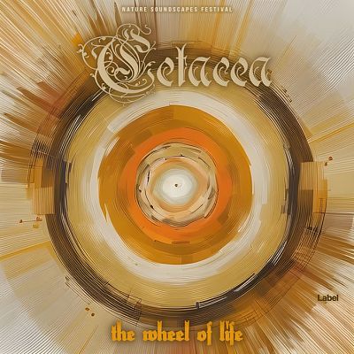 Pre Made Album Cover Driftwood