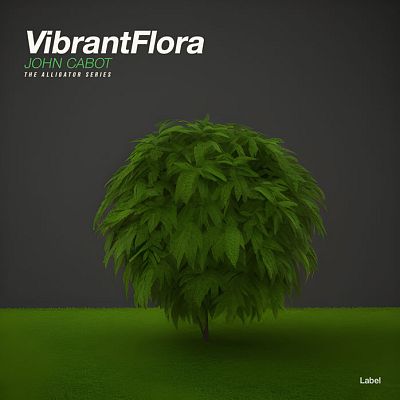 Pre Made Album Cover Green Kelp