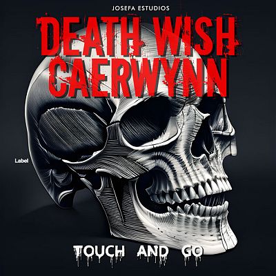 Pre Made Album Cover New York Pink