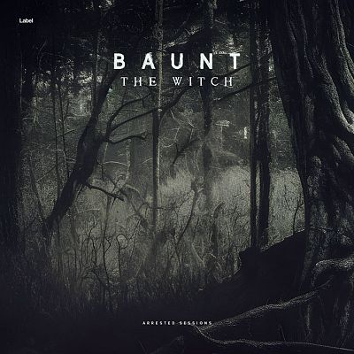 Pre Made Album Cover Shark