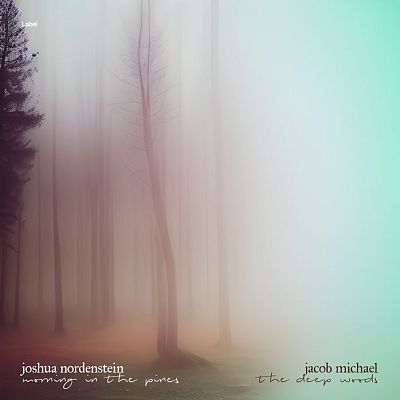 Pre Made Album Cover Pumice