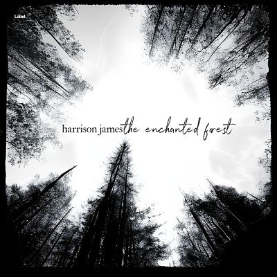 Pre Made Album Cover Shark