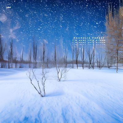 Pre Made Album Cover Polo Blue