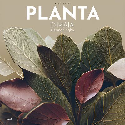 Pre Made Album Cover Sand Dune