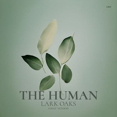 Pre Made Album Cover Mantle