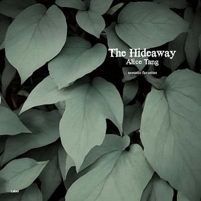 Pre Made Album Cover Corduroy