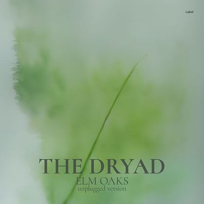 Pre Made Album Cover Amulet