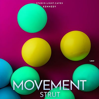 Pre Made Album Cover Mountain Meadow