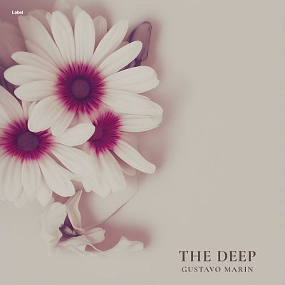 Pre Made Album Cover Tea