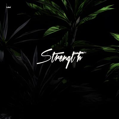 Pre Made Album Cover Marshland