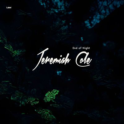 Pre Made Album Cover Ebony