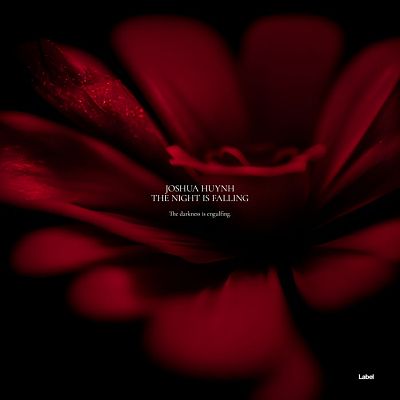 Pre Made Album Cover Wood Bark